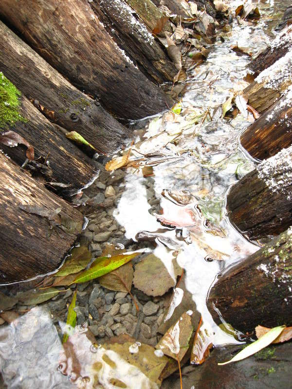 �������� ����� ������� ����� Mary  �� PhotoGeek.ru #������ ��� �������