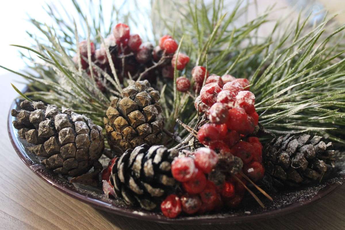 ��� ���������� ����� Olesya Reshetnikova �� PhotoGeek.ru #���������