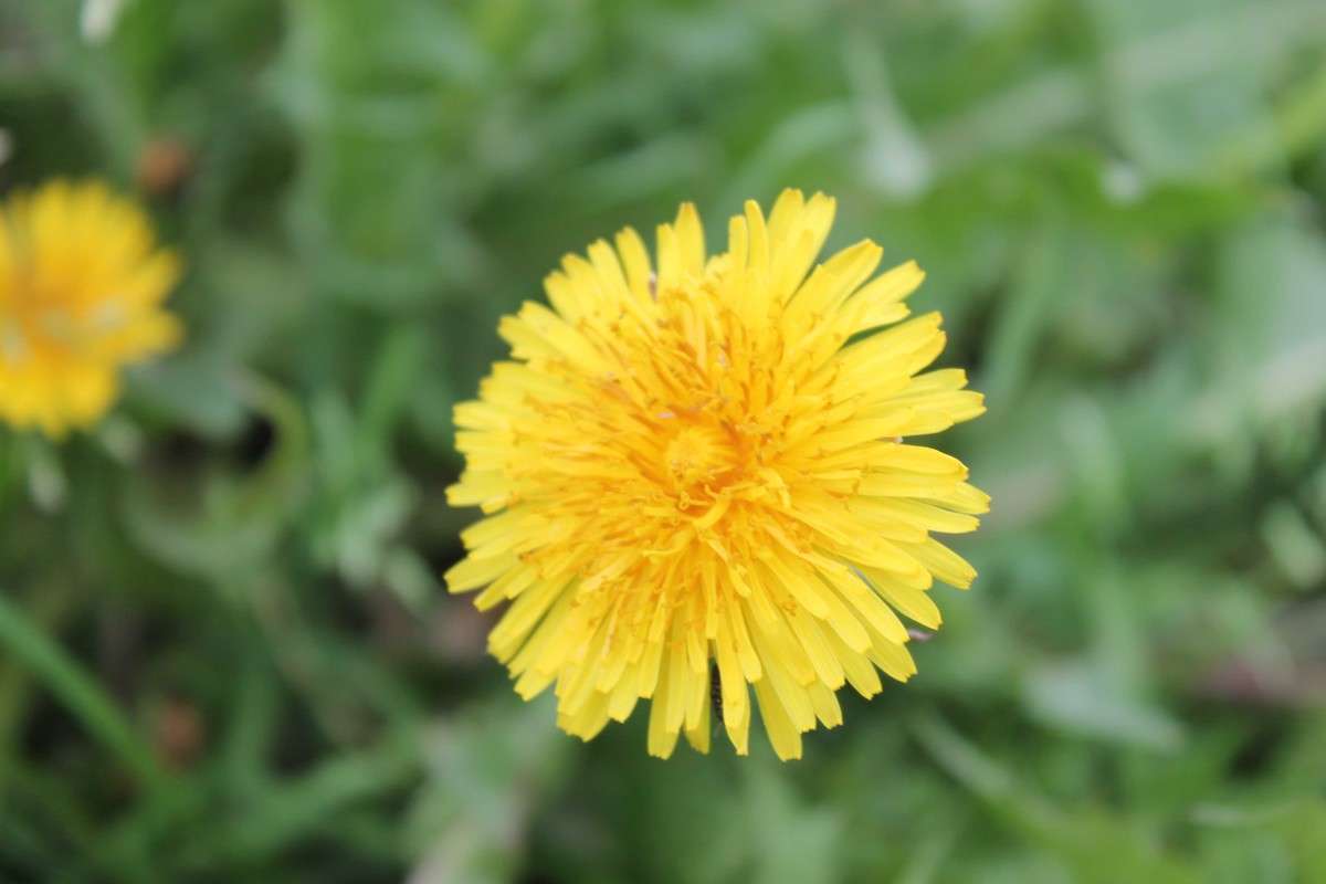 ��������� ����� Olesya Reshetnikova �� PhotoGeek.ru #�����