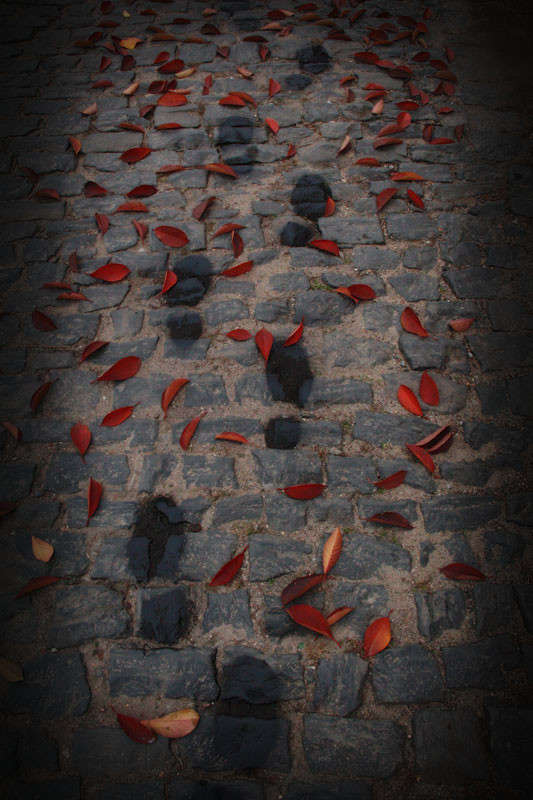 �����. ���������. �����. 1. ����� ��� �!  �� PhotoGeek.ru #�������� ���������� #�������������