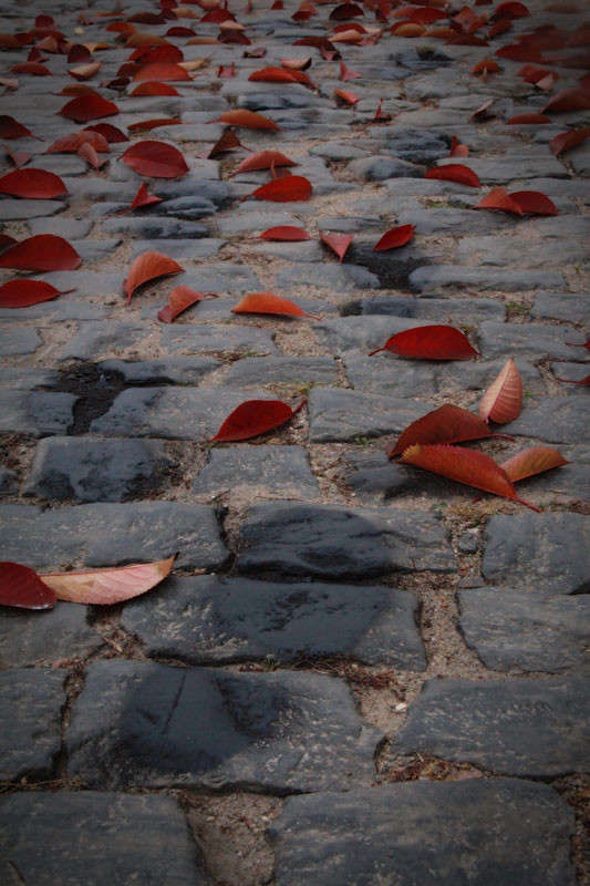 �����. ���������. �����. ����� ����� ��� �!  �� PhotoGeek.ru #����� #�������� ���������� #������ #�������������