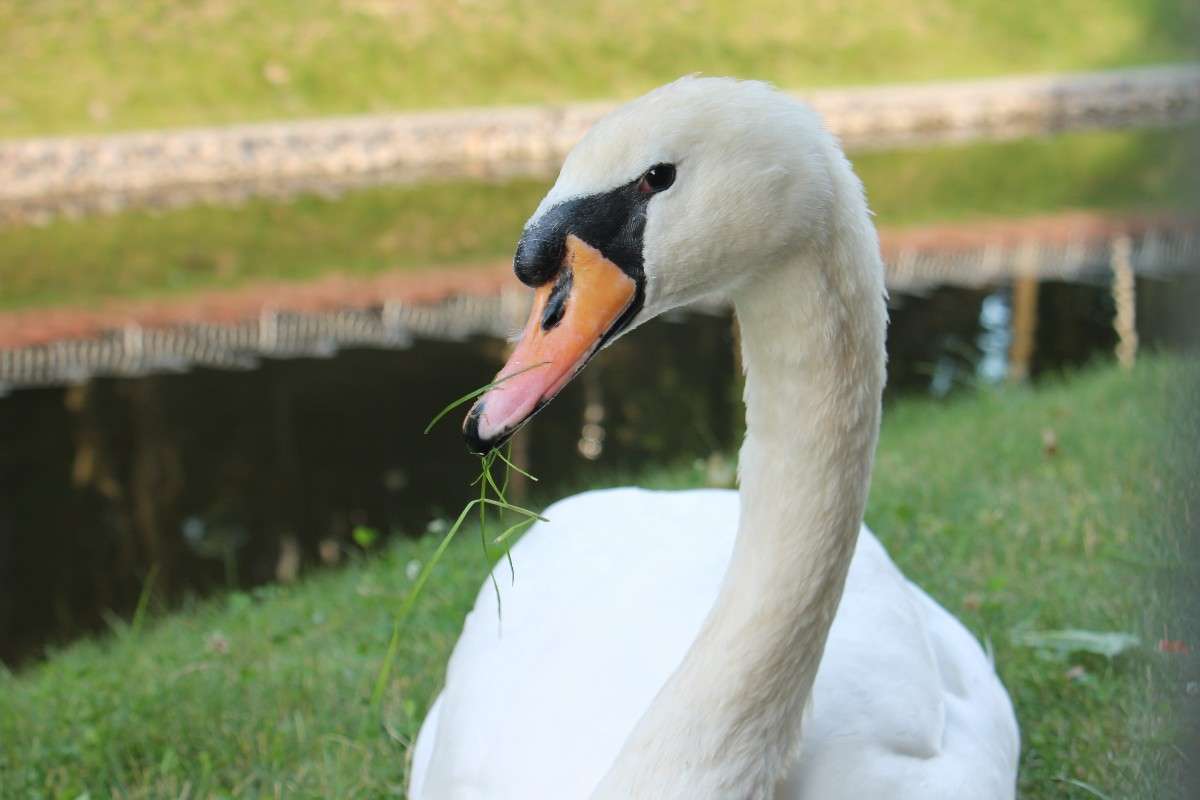 ... ����� �������� ������� �� PhotoGeek.ru #�������� ���