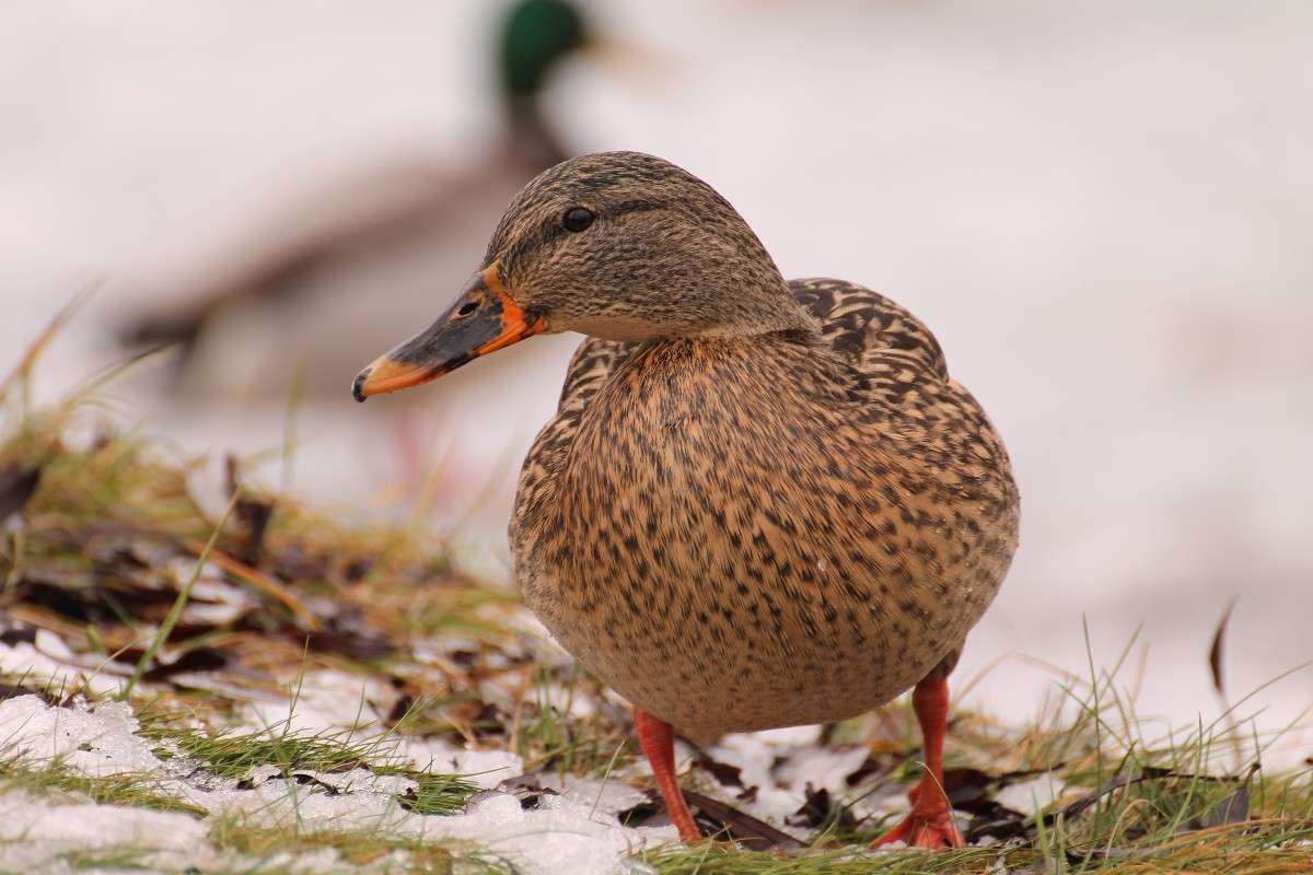 ... ����� �������� ������� �� PhotoGeek.ru #�������� ���