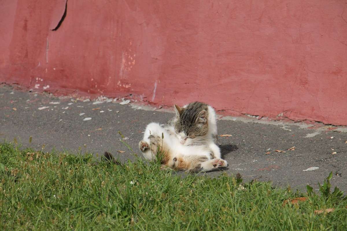 ������... ����� �������� ������� �� PhotoGeek.ru #�������� ��� #�������� ����������