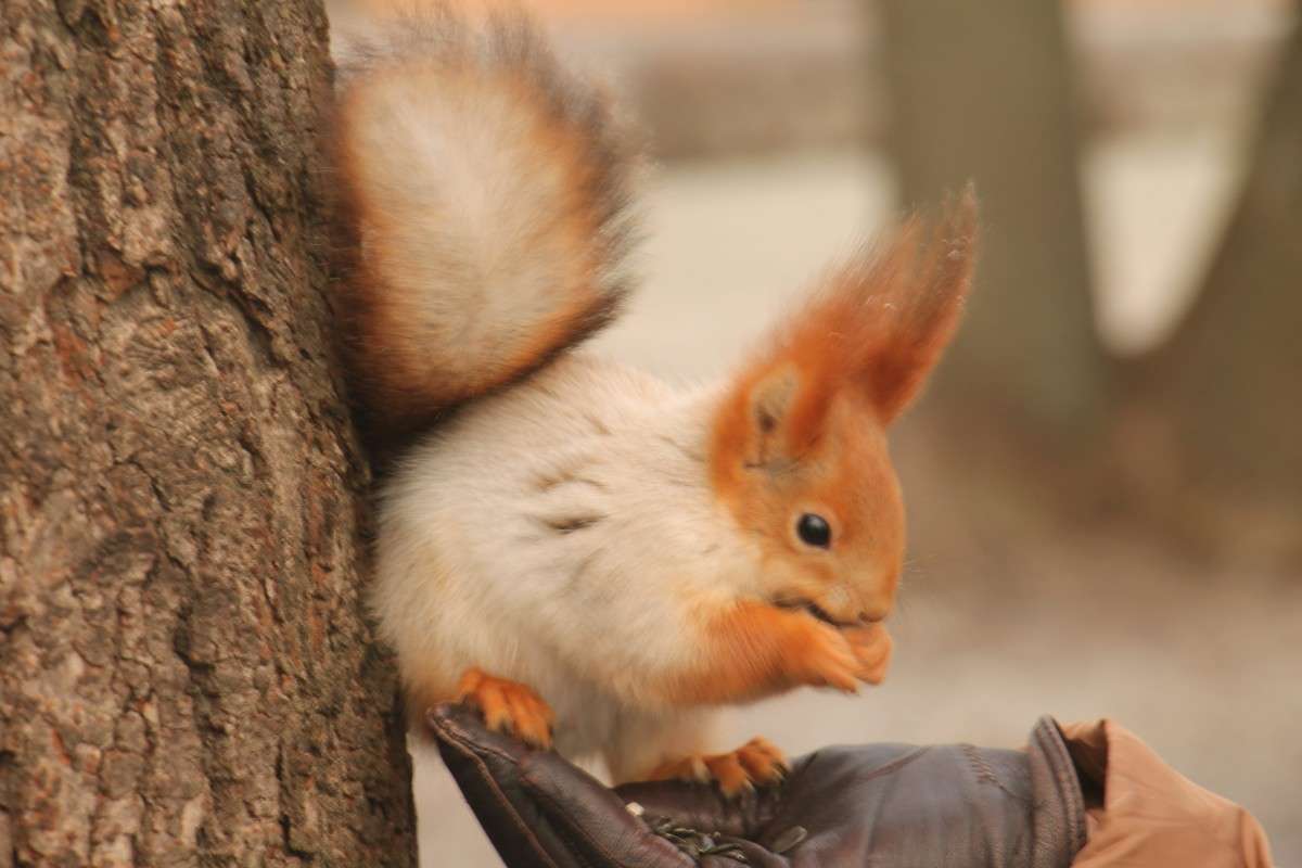 ... ����� �������� ������� �� PhotoGeek.ru #�������� ��� #������ ��� �������