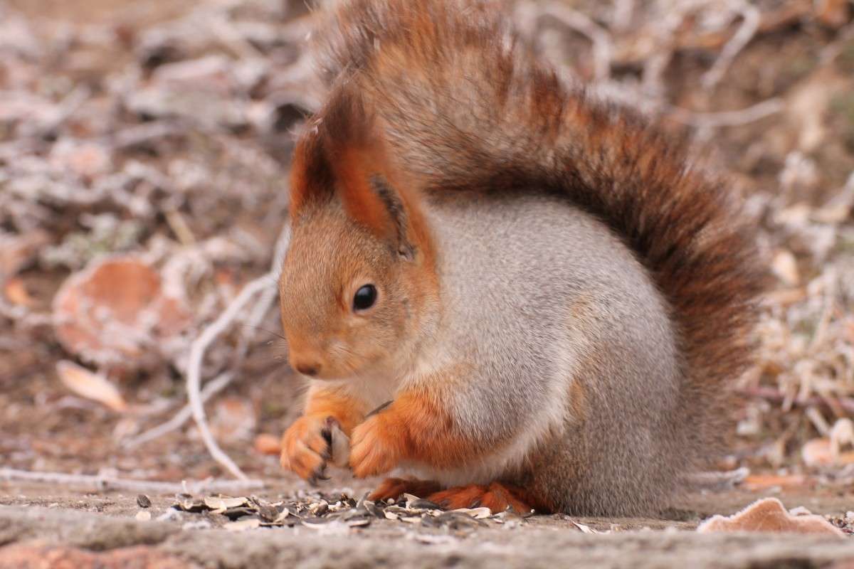 ... ����� �������� ������� �� PhotoGeek.ru #�������� ��� #������ ��� �������