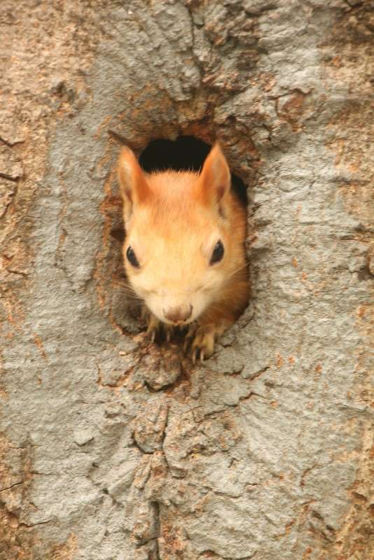 � ����� ����� �������� ������� �� PhotoGeek.ru #�������� ��� #����� ��� ��� ���������