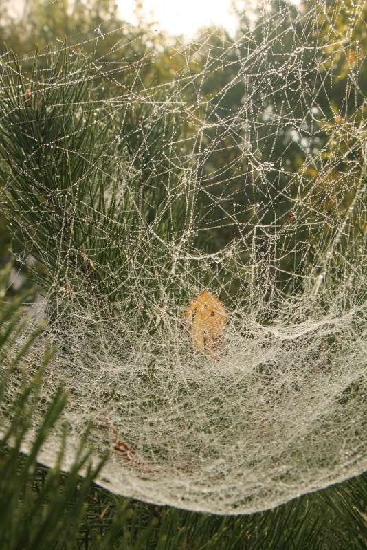 ... ����� �������� ������� �� PhotoGeek.ru #��������� #������ ��� ������� #�������� ����������