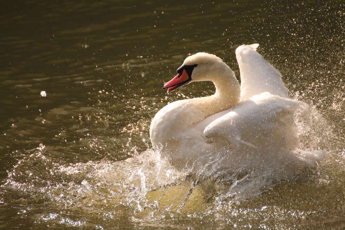 ... ����� �������� ������� �� PhotoGeek.ru #�������� ��� #��������