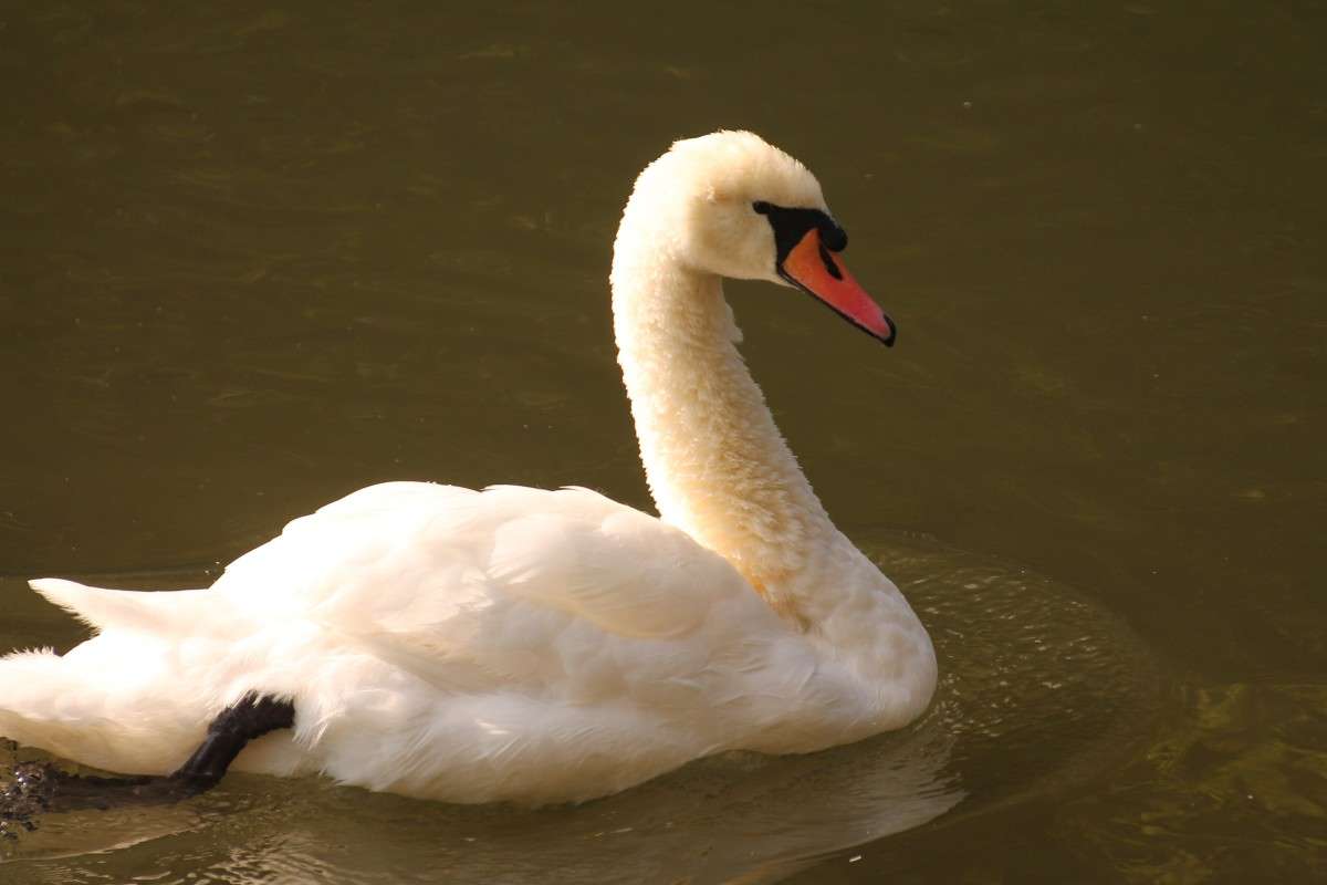 ... ����� �������� ������� �� PhotoGeek.ru #��������