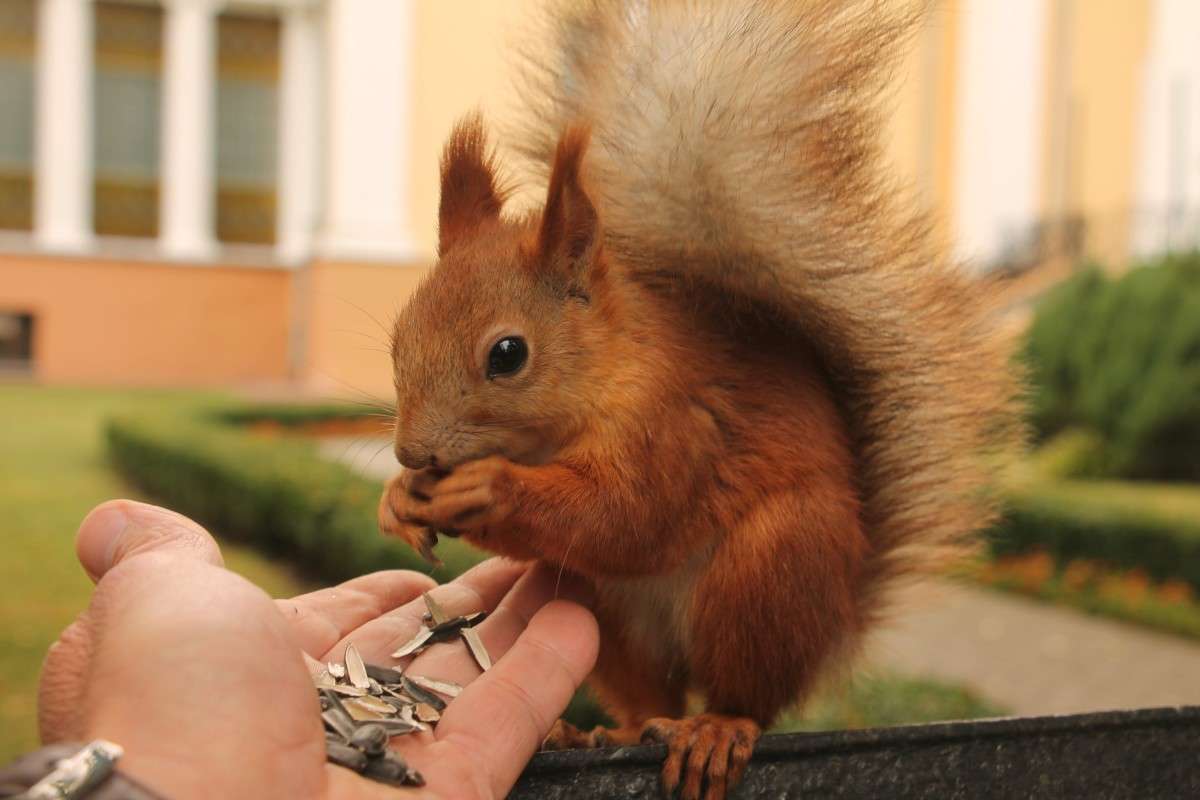 ... ����� �������� ������� �� PhotoGeek.ru #�������� ��� #��������