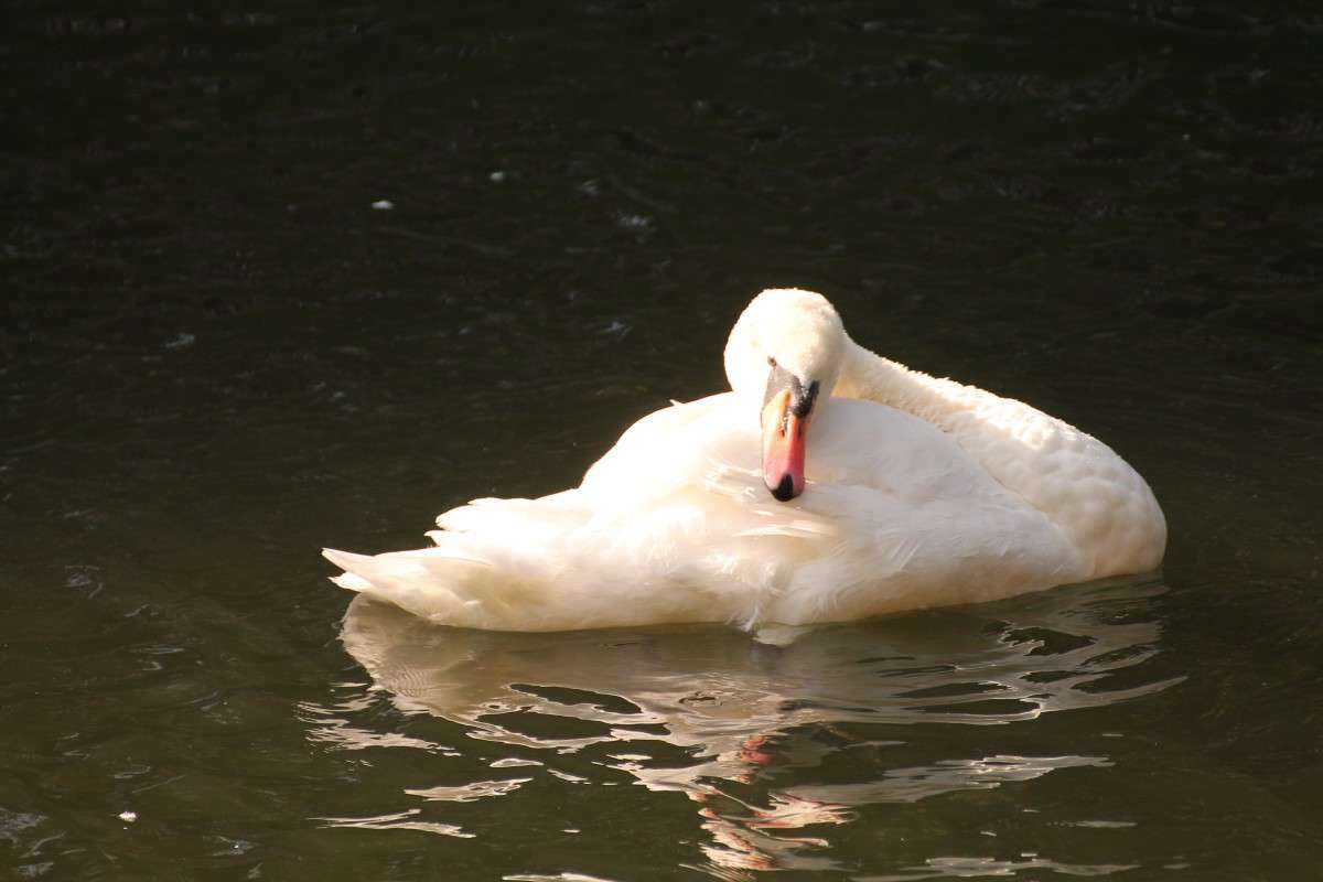 ... ����� �������� ������� �� PhotoGeek.ru #�������� ��� #����� ��� ��� ���������