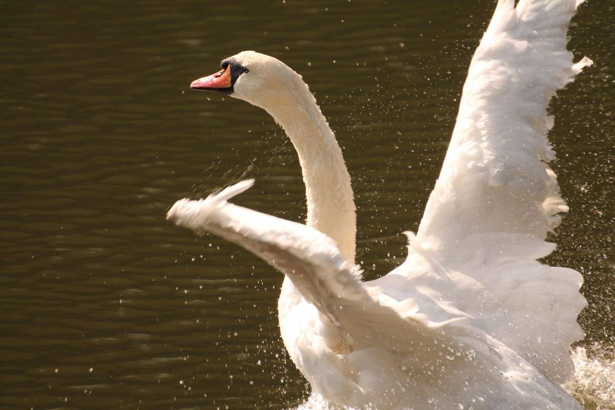 ... ����� �������� ������� �� PhotoGeek.ru #�������� ��� #����� ��� ��� ���������