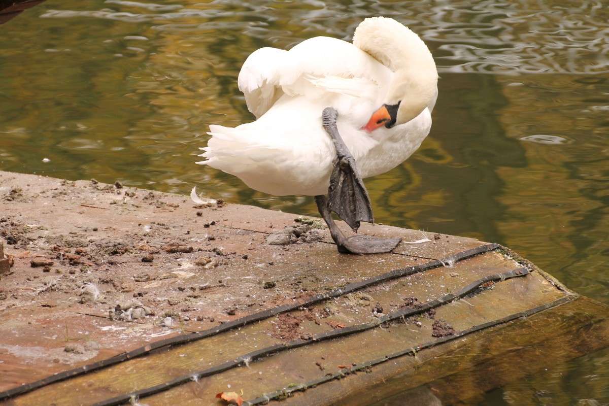 � ��� ��� ����� �������� ������� �� PhotoGeek.ru #�������� ��� #����� ��� ��� ���������