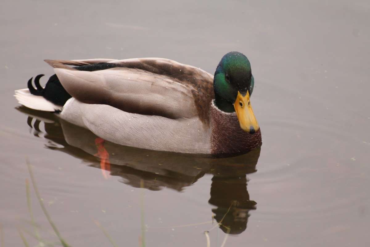 ... ����� �������� ������� �� PhotoGeek.ru #�������� ��� #����� ��� ��� ���������