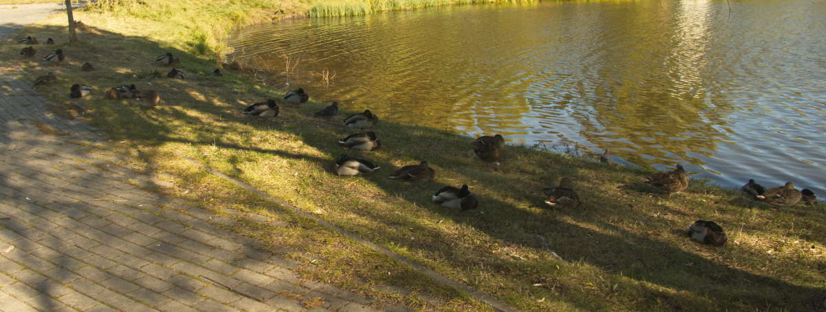 � ������� ����� �������� ������� �� PhotoGeek.ru #�������� ��� #������ ��� �������