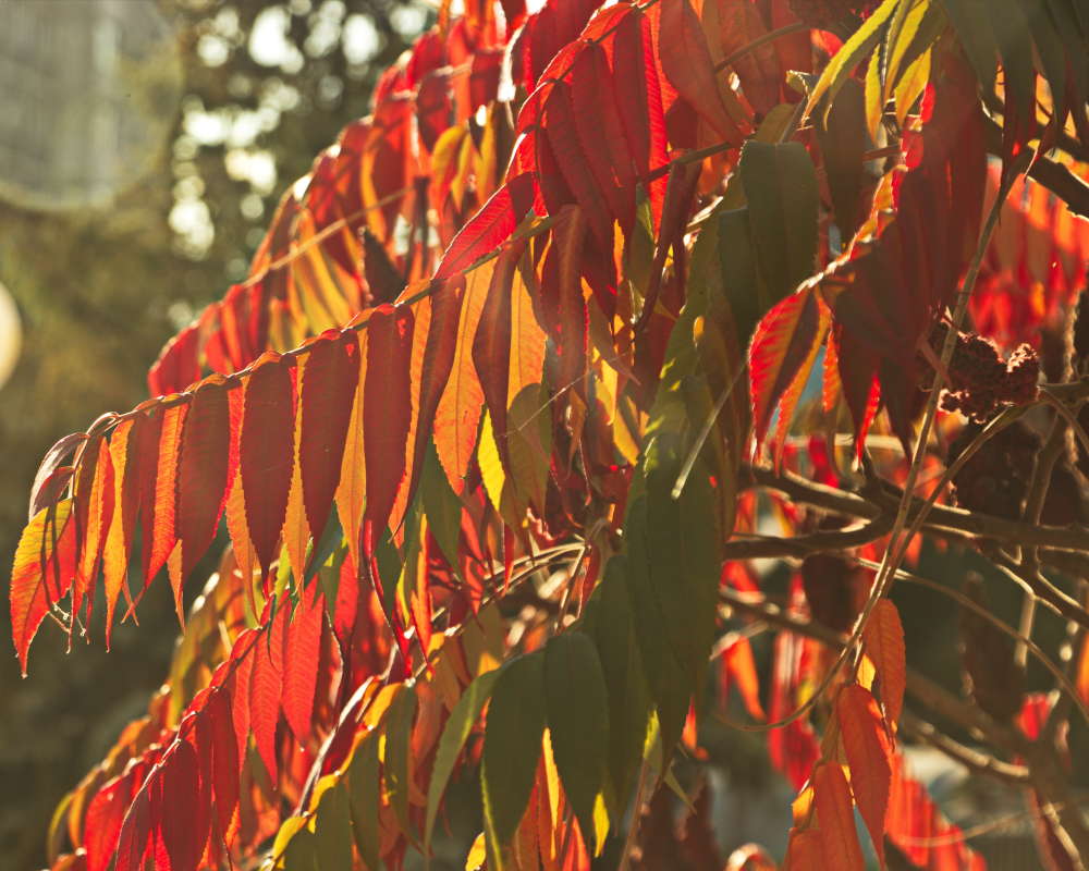 ������ ����� ����� �������� ������� �� PhotoGeek.ru #������ ��� �������