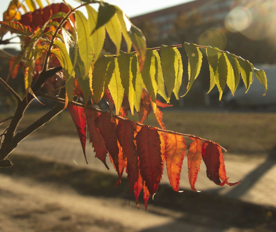 ������ ����� ����� �������� ������� �� PhotoGeek.ru #������ ��� �������