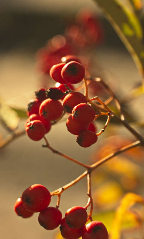 *** ����� �������� ������� �� PhotoGeek.ru #������ ��� �������