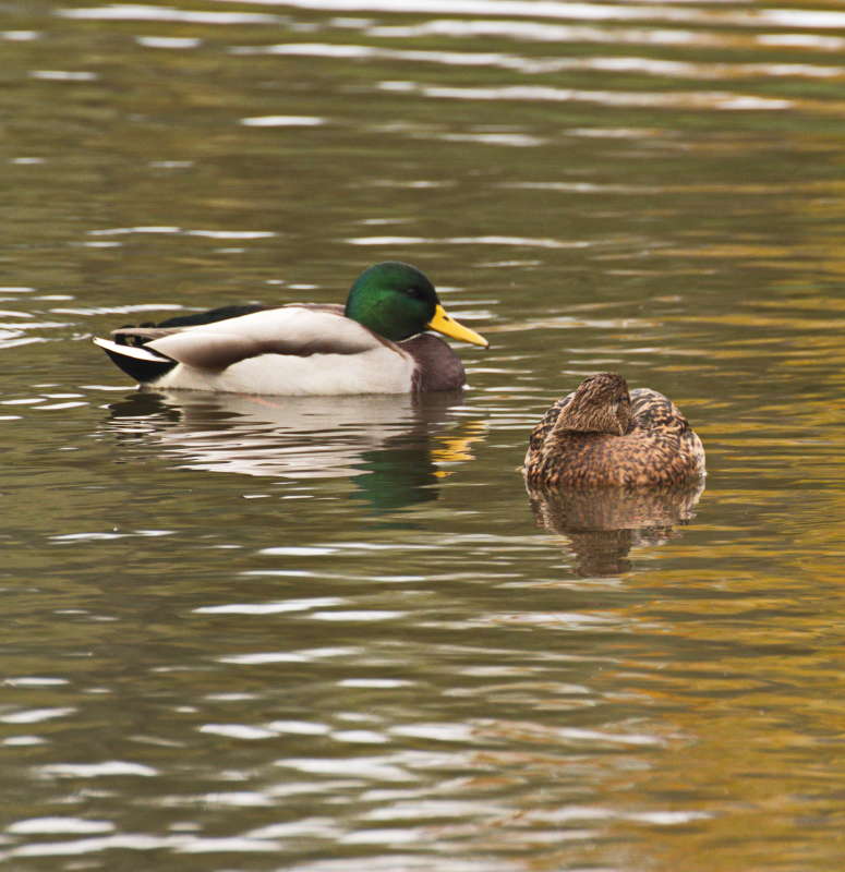 ��������� ����� �������� ������� �� PhotoGeek.ru #�������� ���