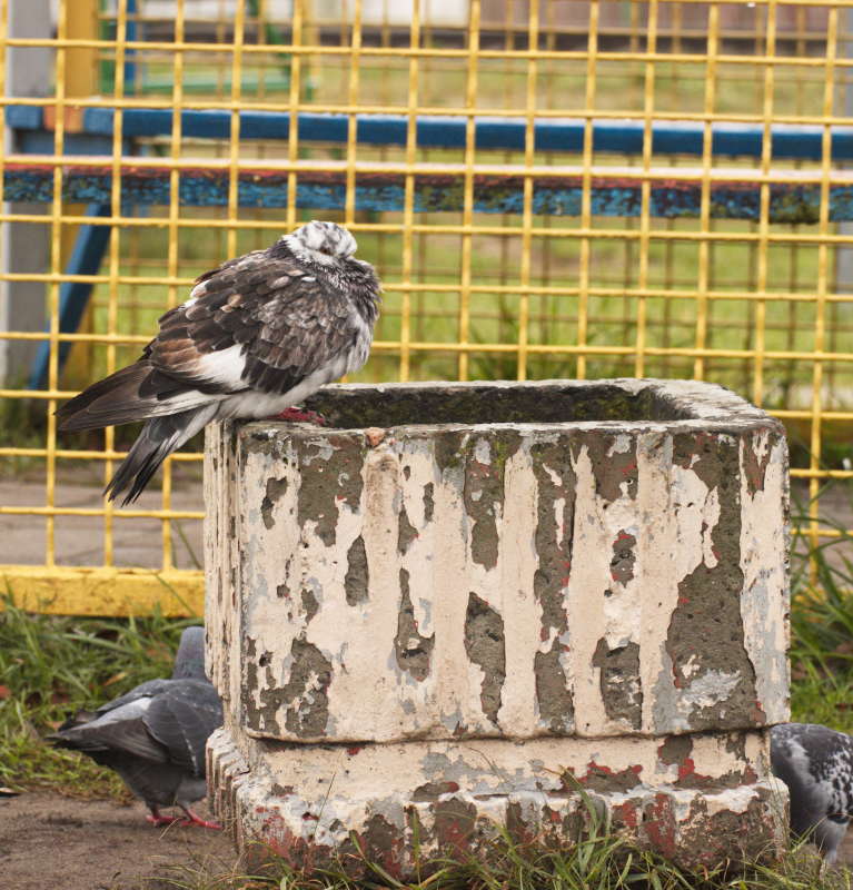 ����� ����� �������� ������� �� PhotoGeek.ru #�������� ���