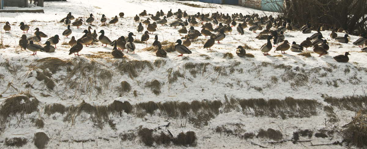 �� ������ ����� �������� ������� �� PhotoGeek.ru #�������� ��� #����� ��� ��� ���������