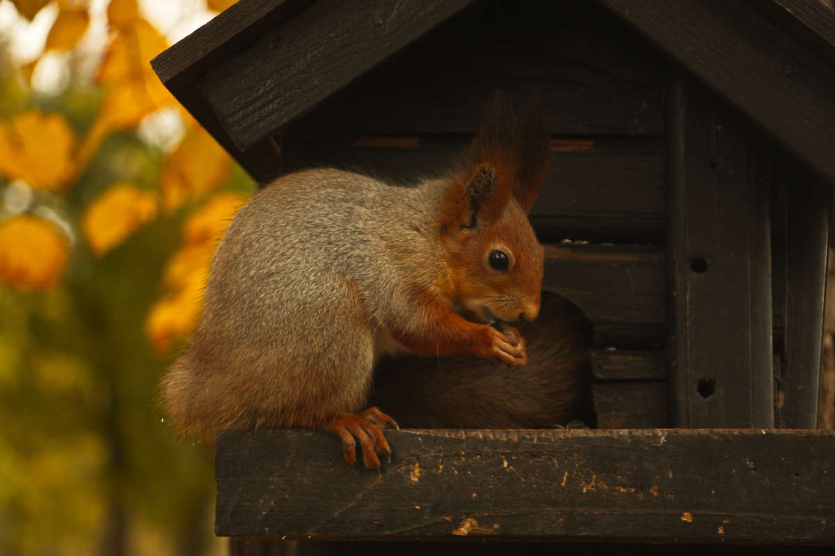 ...... ����� �������� ������� �� PhotoGeek.ru #�������� ���