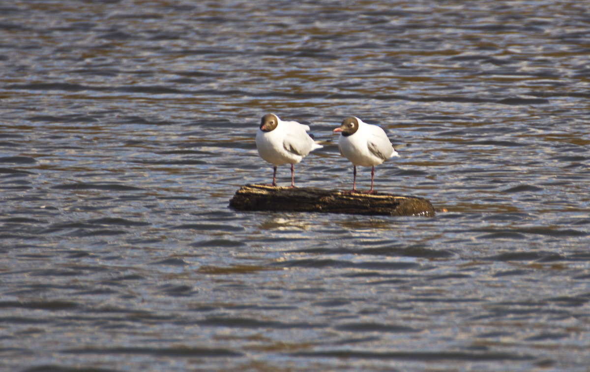 �� ������ ����� �������� ������� �� PhotoGeek.ru #�������� ���