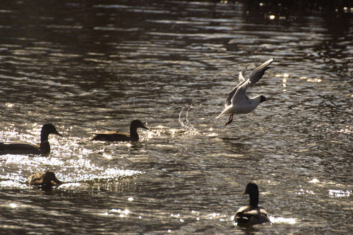 ����� �� ��� ����� �������� ������� �� PhotoGeek.ru #�������� ���