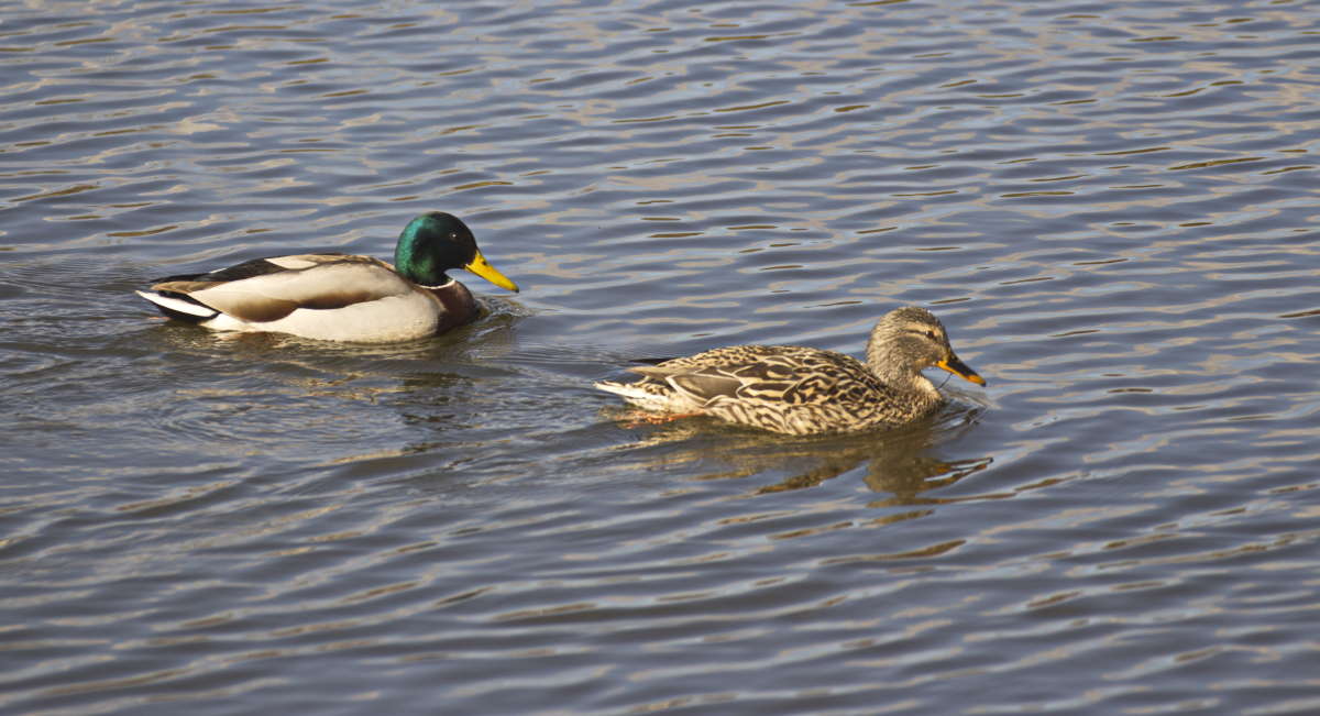 ������� ������� ����� �������� ������� �� PhotoGeek.ru #�������� ���