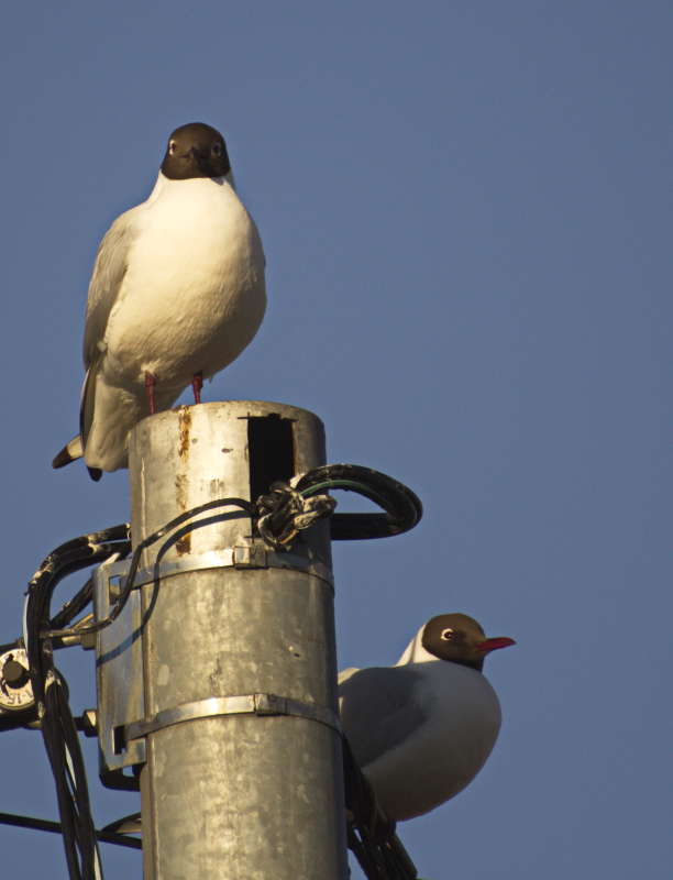 ��������� ����� �������� ������� �� PhotoGeek.ru #�������� ���