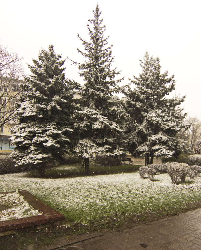 ���������� ���� ����� �������� ������� �� PhotoGeek.ru #������ ��� ������� #��������