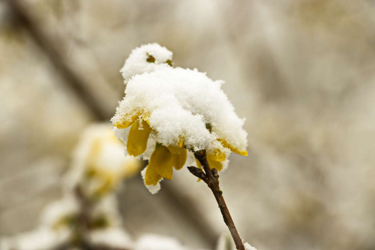 ���������� ���� ����� �������� ������� �� PhotoGeek.ru #������ ��� ������� #��������