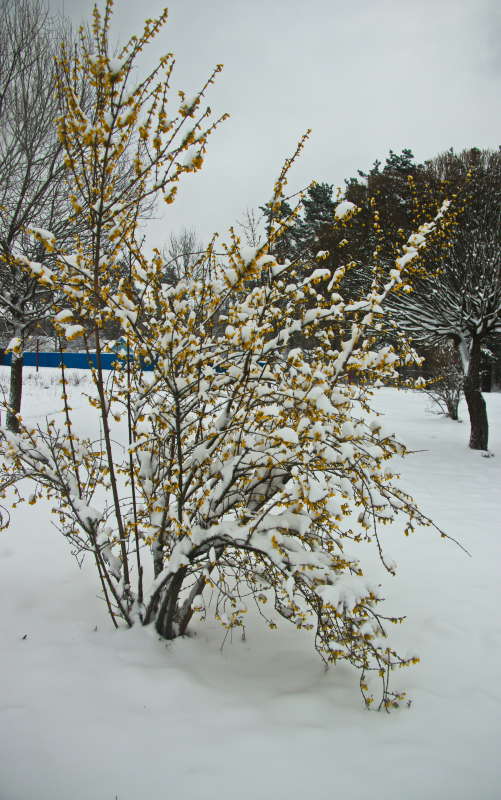 ���������� ���� ����� �������� ������� �� PhotoGeek.ru #������ ��� ������� #��������