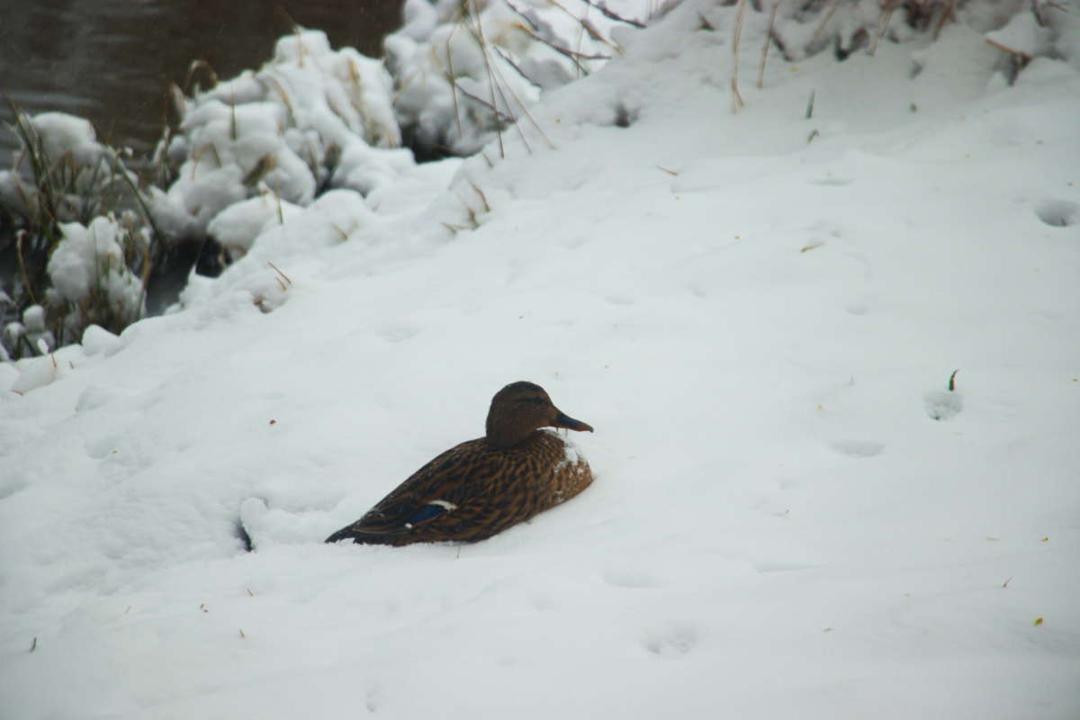 ������ ���� ����� �������� ������� �� PhotoGeek.ru #�������� ��� #������ ��� �������