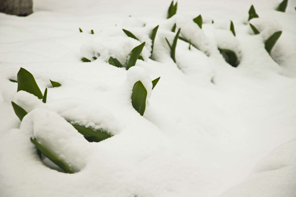 ���������� ���� ����� �������� ������� �� PhotoGeek.ru #������ ��� ������� #��������