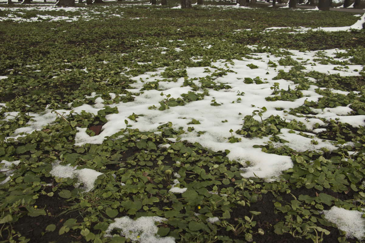 ���������� ���� ����� �������� ������� �� PhotoGeek.ru #������ ��� �������