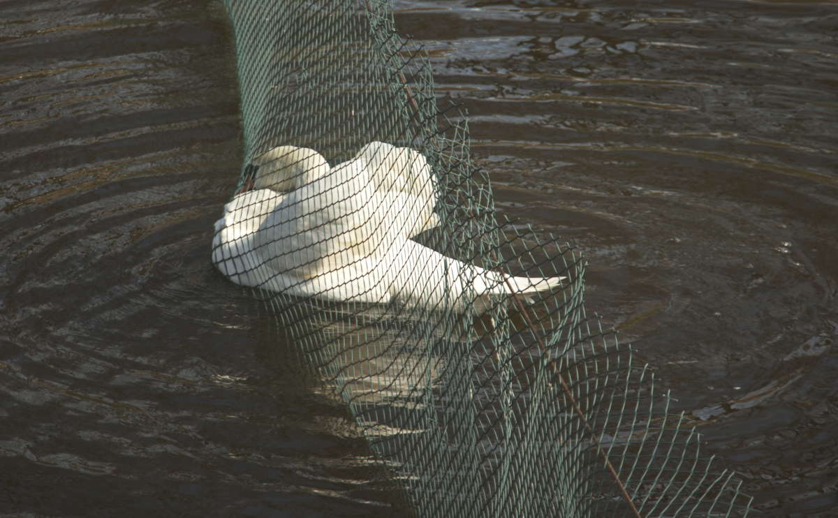 �� ������ ����� �������� ������� �� PhotoGeek.ru #�������� ���