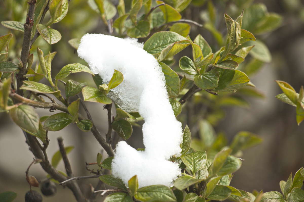 ���������� ���� ����� �������� ������� �� PhotoGeek.ru #������ ��� �������