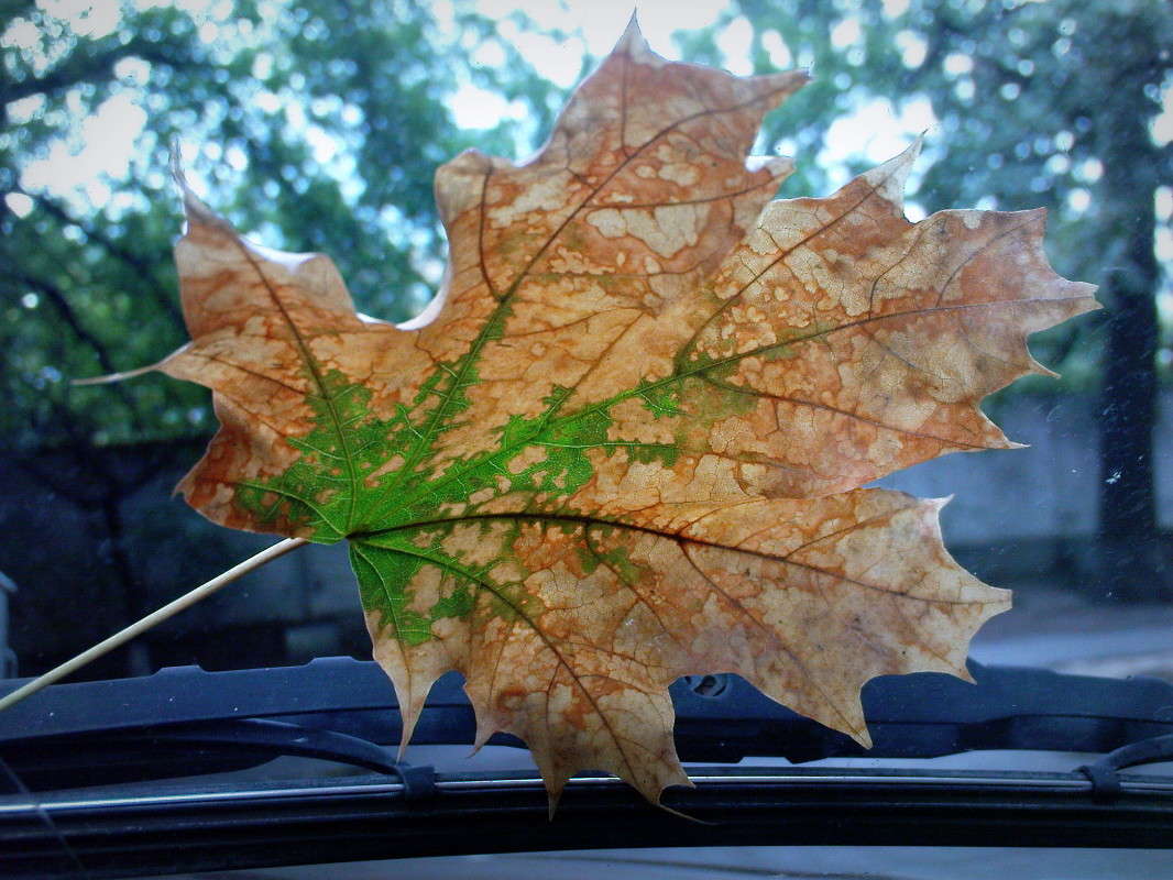 ... ����� ������� ����� �� PhotoGeek.ru #�����