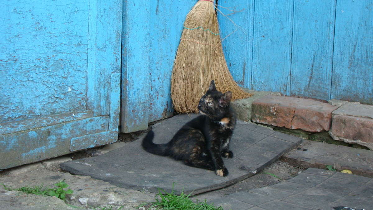 ... ����� ������� ����� �� PhotoGeek.ru #�������� ���