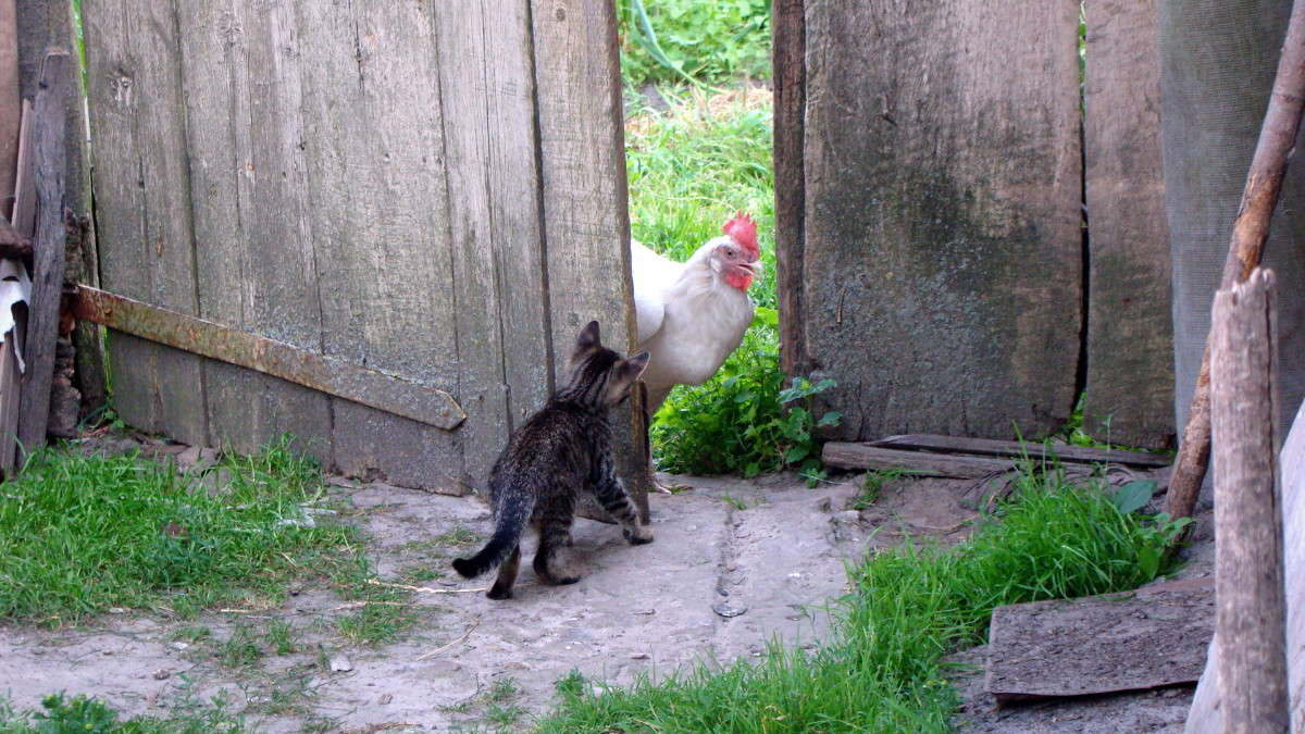 ... ����� ������� ����� �� PhotoGeek.ru #�������� ���