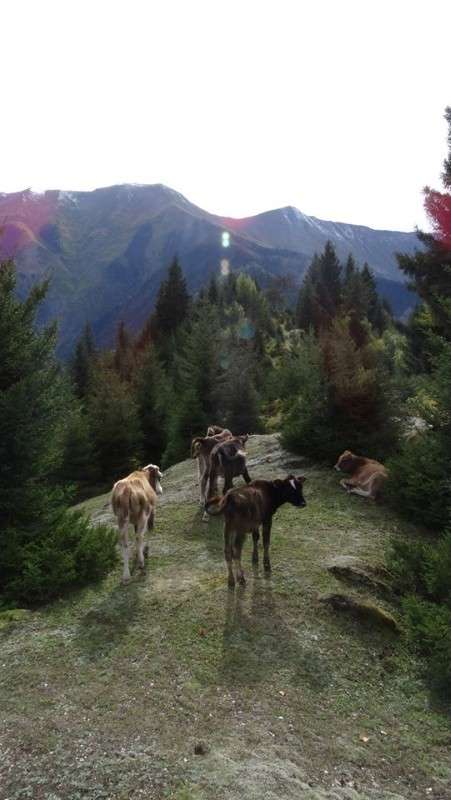 ... ����� ������� ����� �� PhotoGeek.ru #������ ��� �������