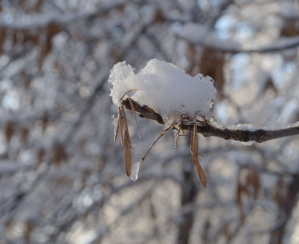 ������� ����� ������  �� PhotoGeek.ru #������ ��� �������