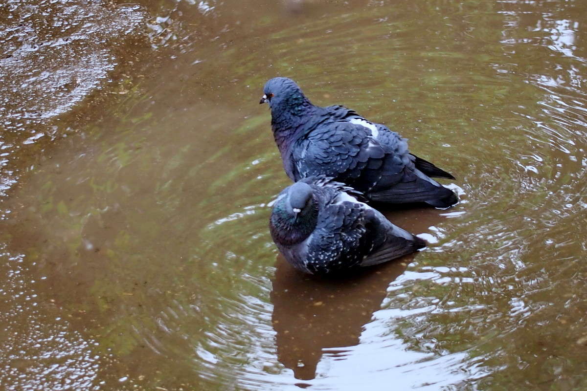 � ����� ����� ����� ������? ��� �� �������� ����� ������  �� PhotoGeek.ru #�������� ���