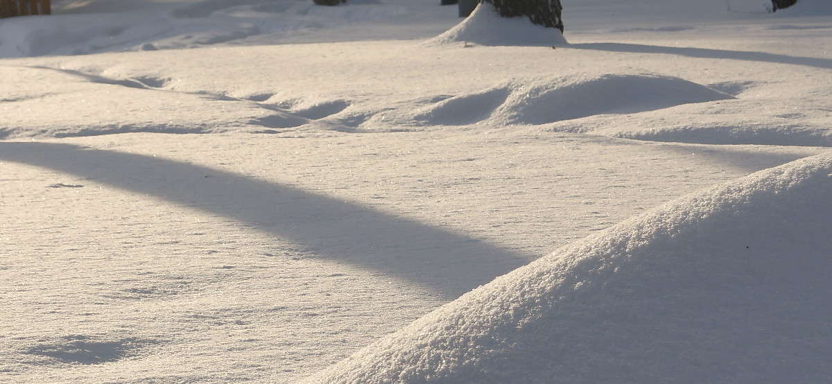 ����� ��������� ����� ������  �� PhotoGeek.ru #������ ��� �������