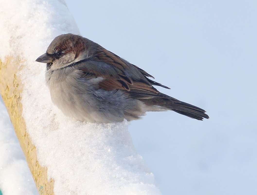 ������ �� ��� �����, � 31 �������! ����� ������  �� PhotoGeek.ru #�������� ���