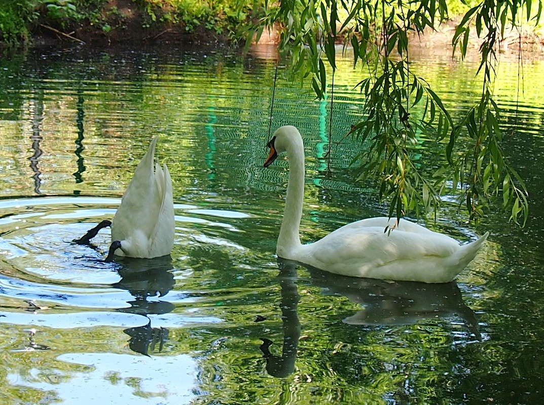 ��� ���� �����,�� ��� ������ �������! ����� ������  �� PhotoGeek.ru #�������� ��� #����� ��� ��� ���������