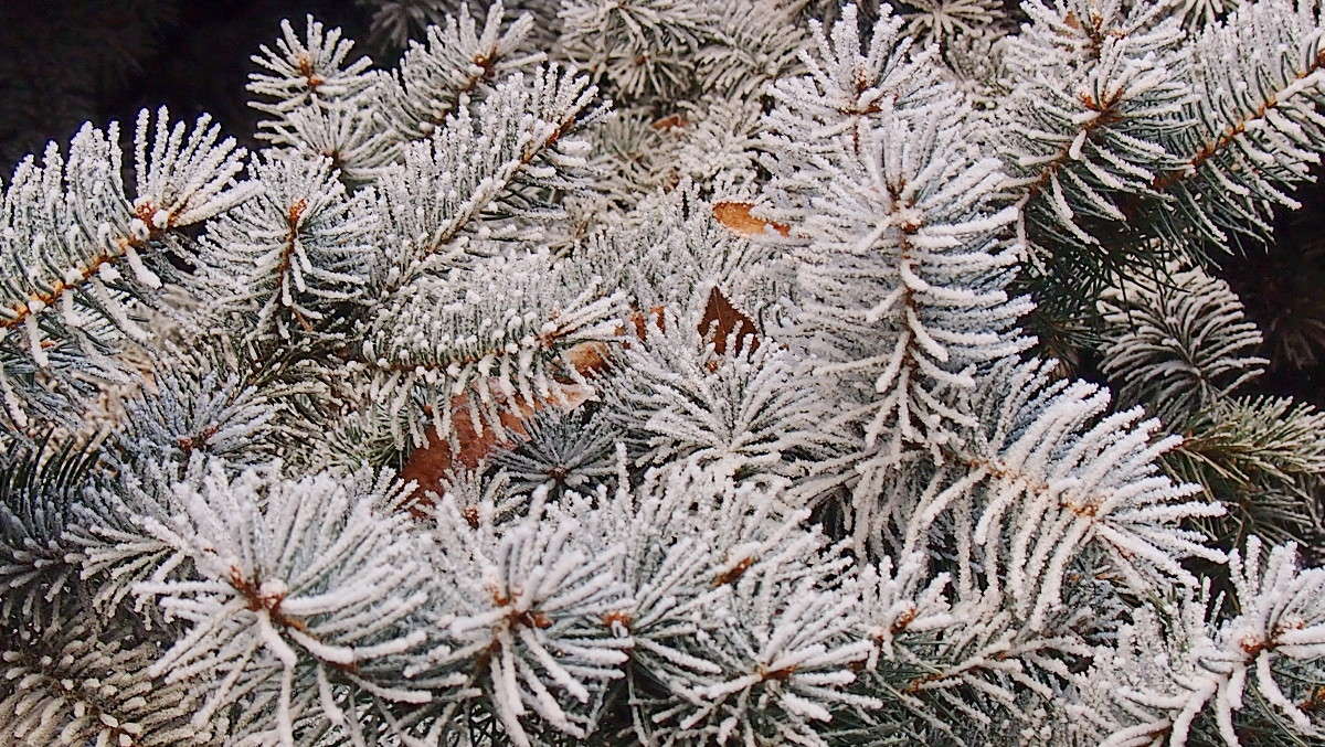 ���� ����� ������  �� PhotoGeek.ru #������ ��� ������� #����� ��������������