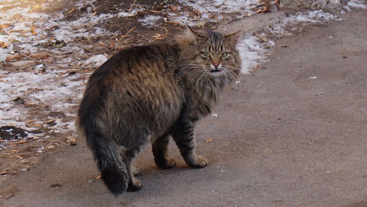 � ��� �� ������ �� ����?? ����� ������  �� PhotoGeek.ru #�������� ���